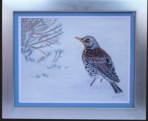Fieldfare in the Snow with Frame_ Grey.j
