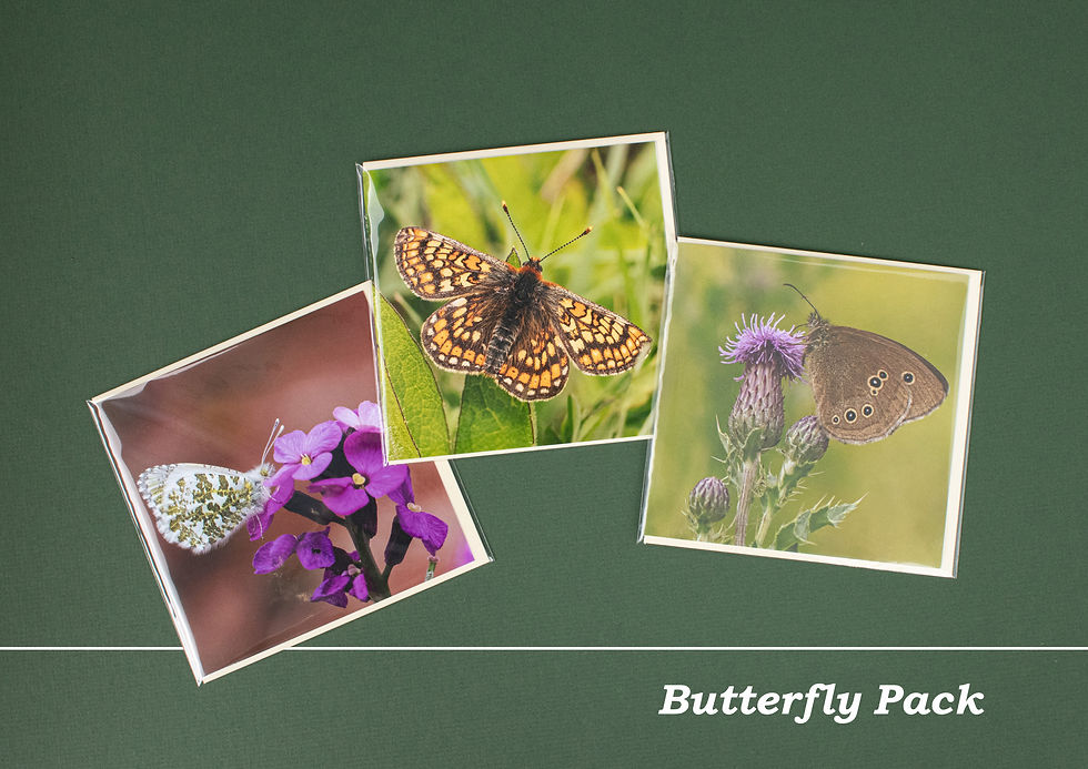 Thumbnail: Art Cards (Buy 3 for £5.00)