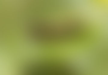 A trip to Snakeholme Pits