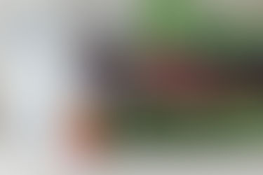 Red Bubble Product Review #2