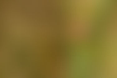 Wildlife of Watch Tree Nature Reserve