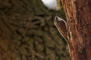 Day Out at Moor Farm