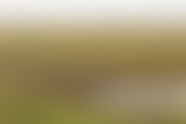 Britain's Habitats- Salt Marsh