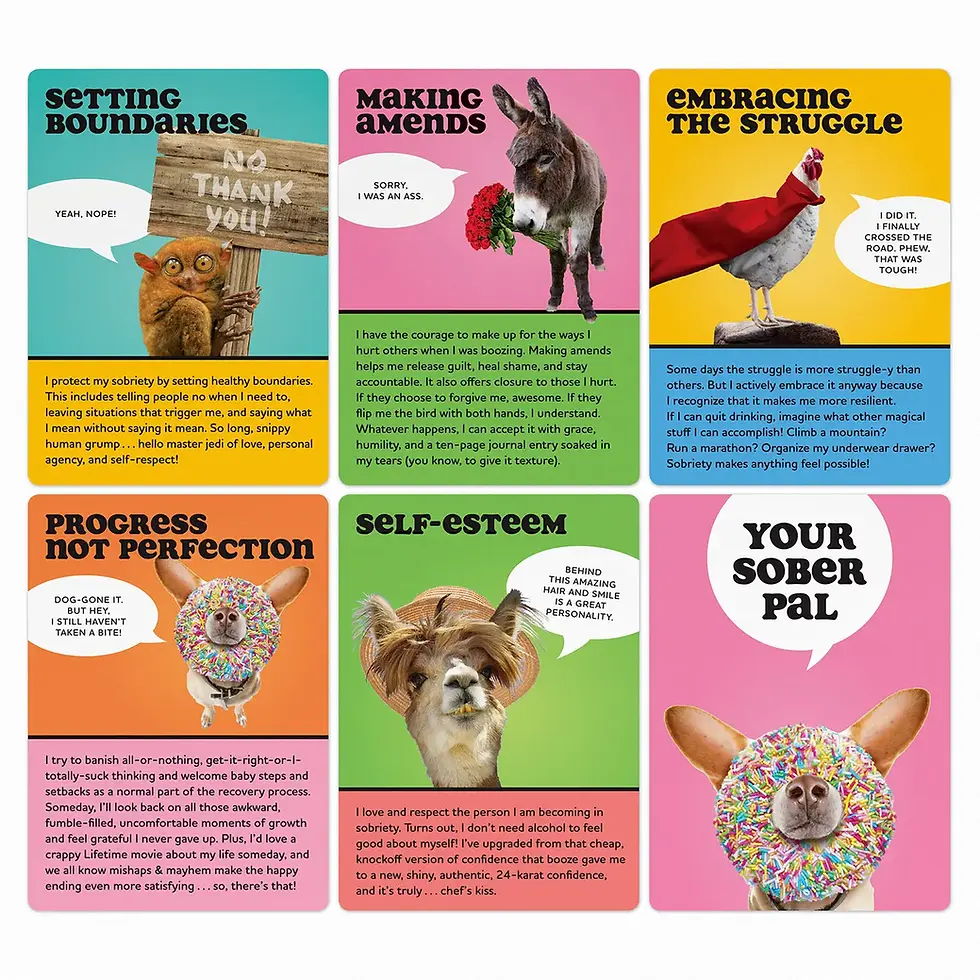 Thumbnail: Your Sober Pal - Sobriety Affirmation Card Deck