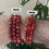 Thumbnail: Carnelian Crystal Bracelet | Genuine Gemstones