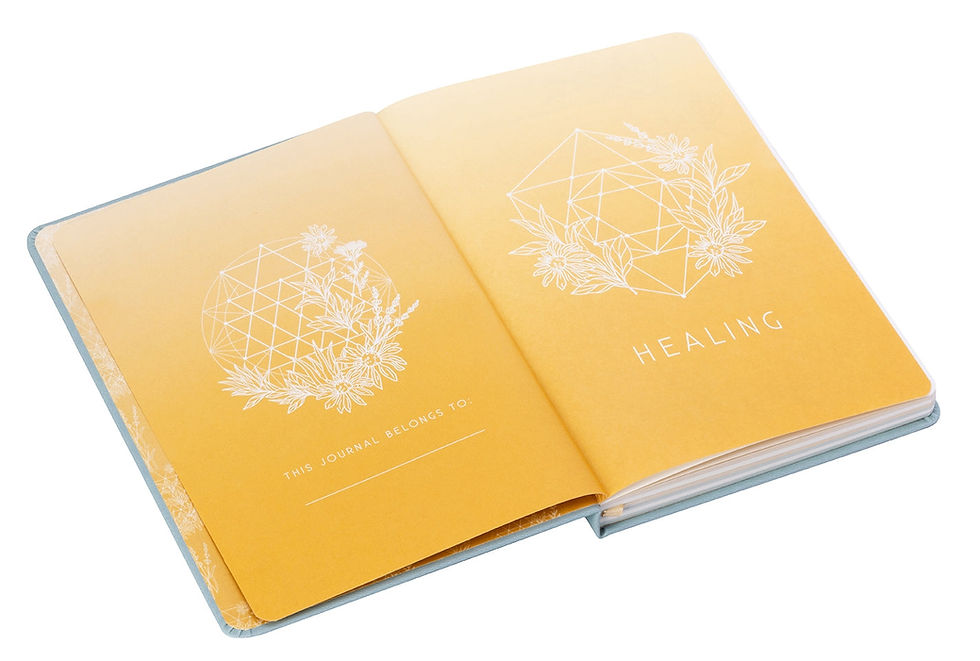 Thumbnail: Healing Day and Night Journal