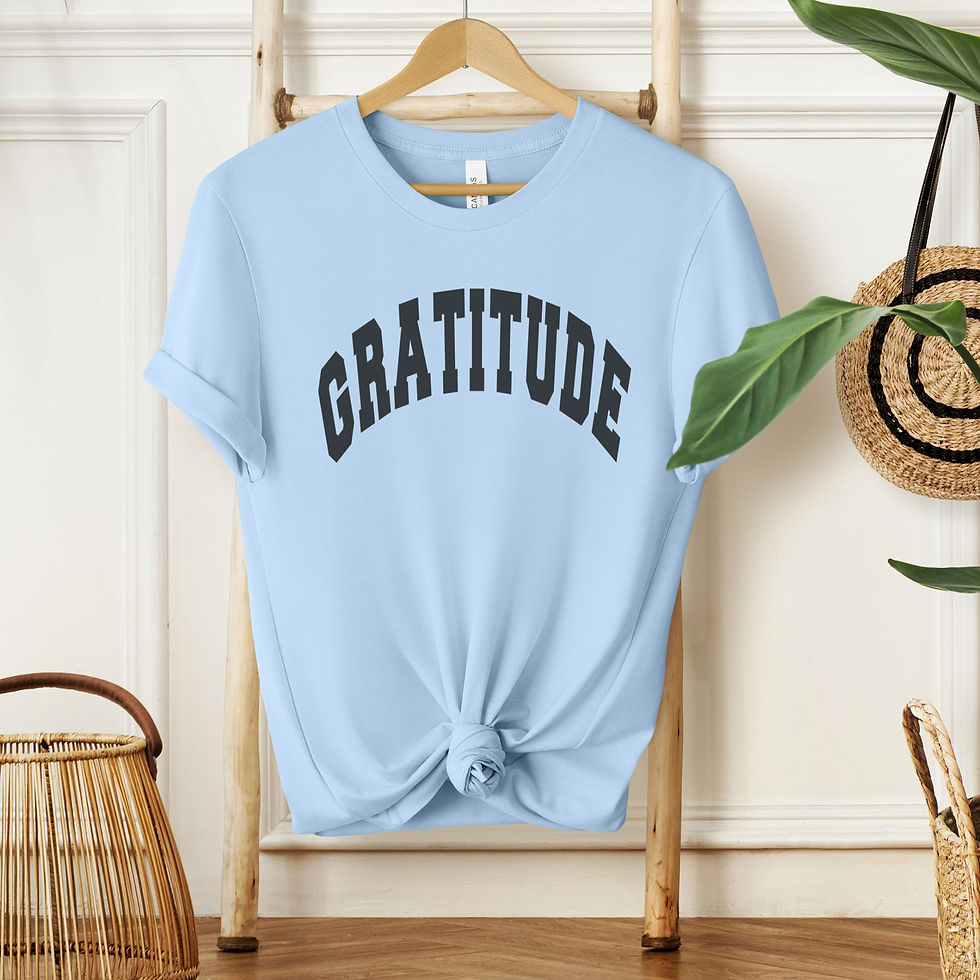 Thumbnail: Sky blue shirt that says Gratitude on a hanger with baskets.