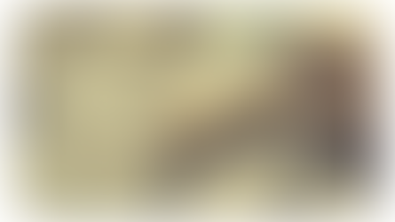 GST due dates NZ 2026 shown with tax calendar, calculator, and financial documents