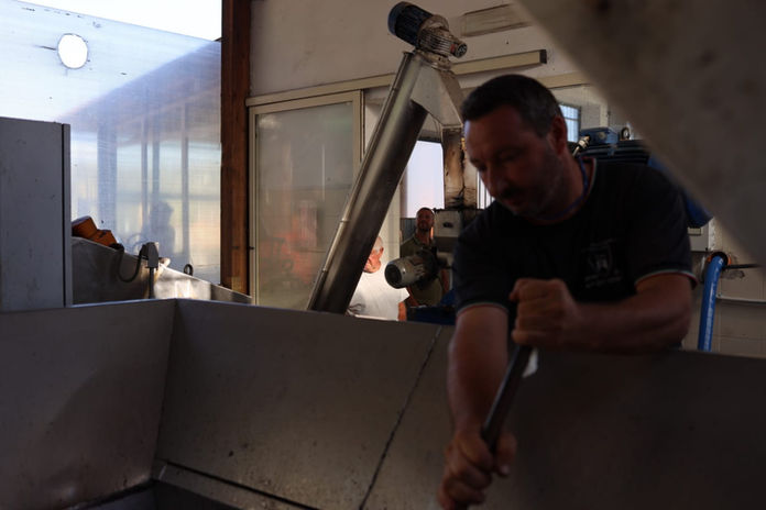 WhatsApp Image 2022-11-02 at 11.35.06.jpeg