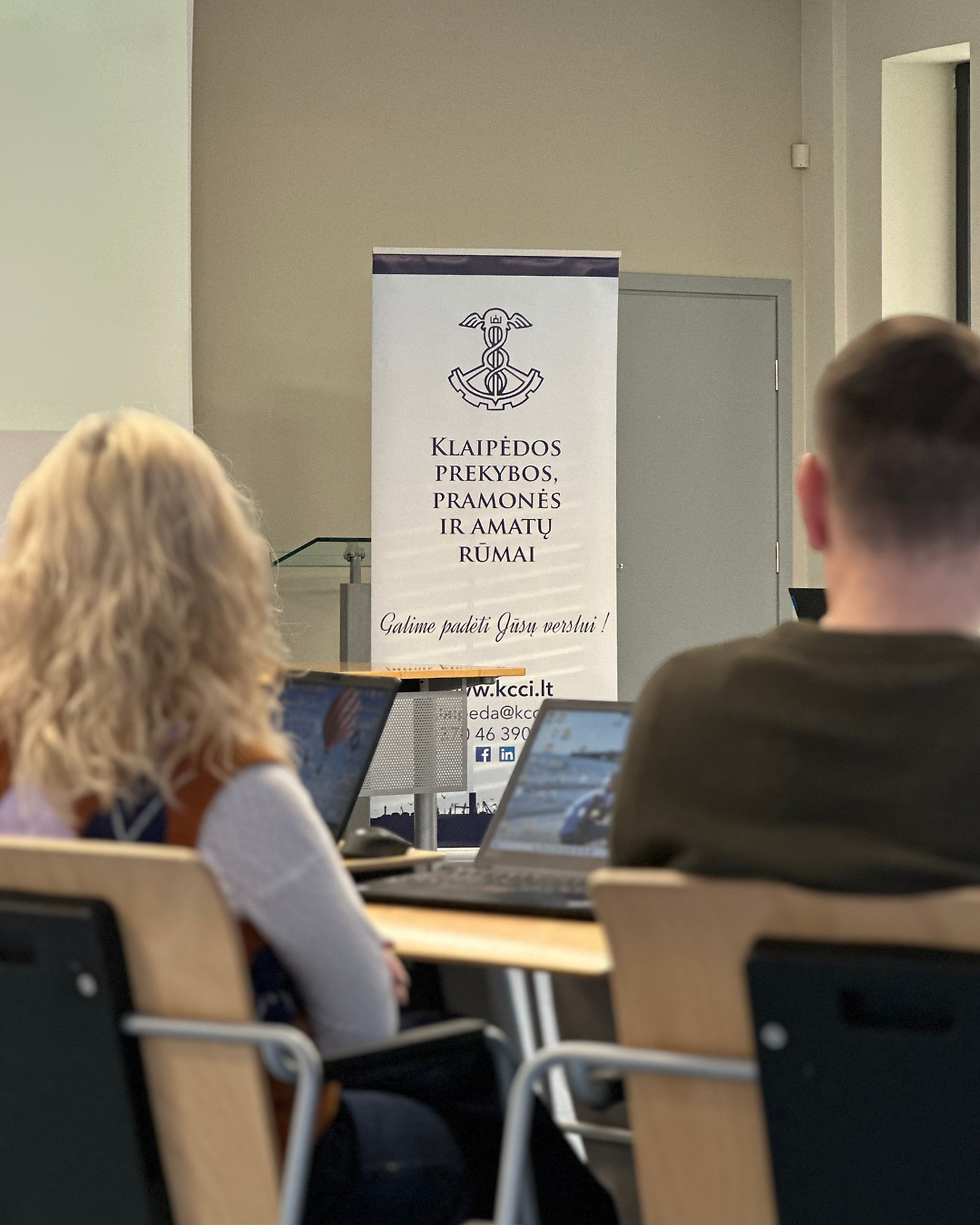 DI mokymai verslo atstovams