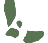 CASA_SINGLE SHAPES_DARK GREEN-01.png