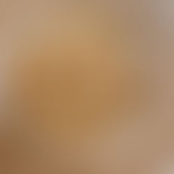 PRAWN FETTUCINE: ON REPEAT THIS SUMMER