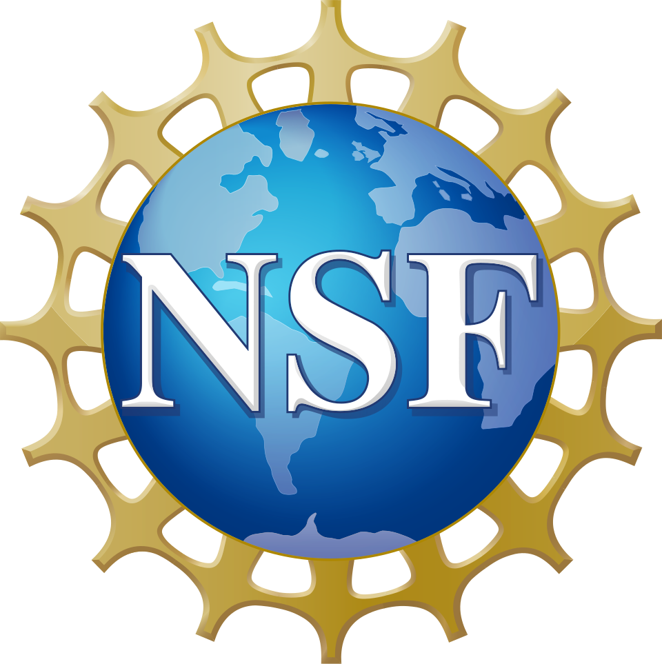 NSF_logo.svg.png