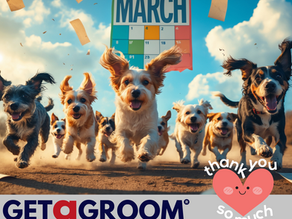 A Heartfelt Thank You from GET a GROOM® Basildon!