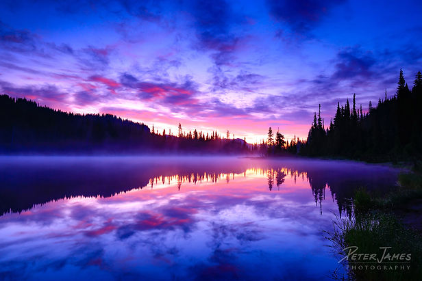nature photography artwork