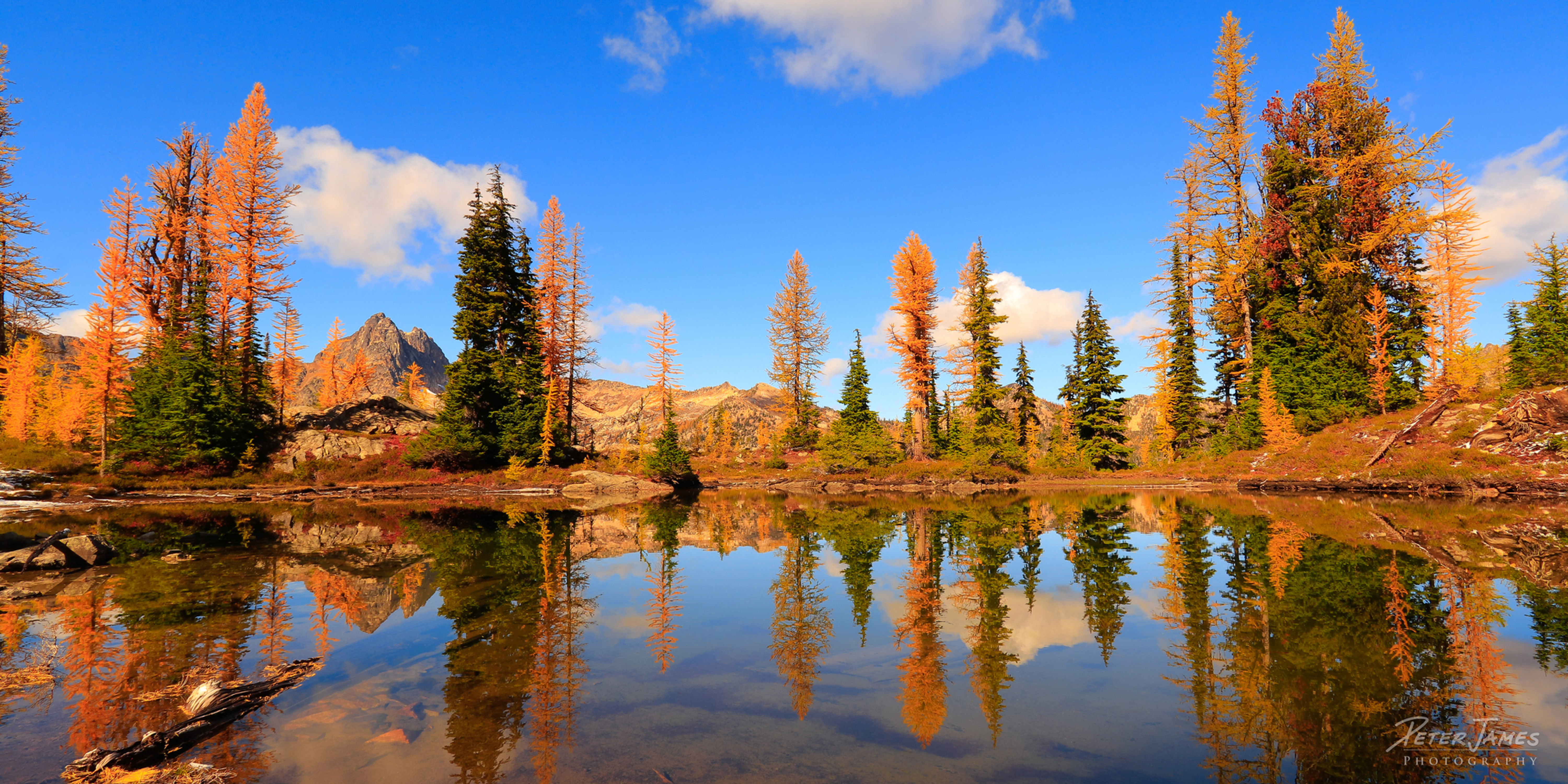 Golden Larch Lake