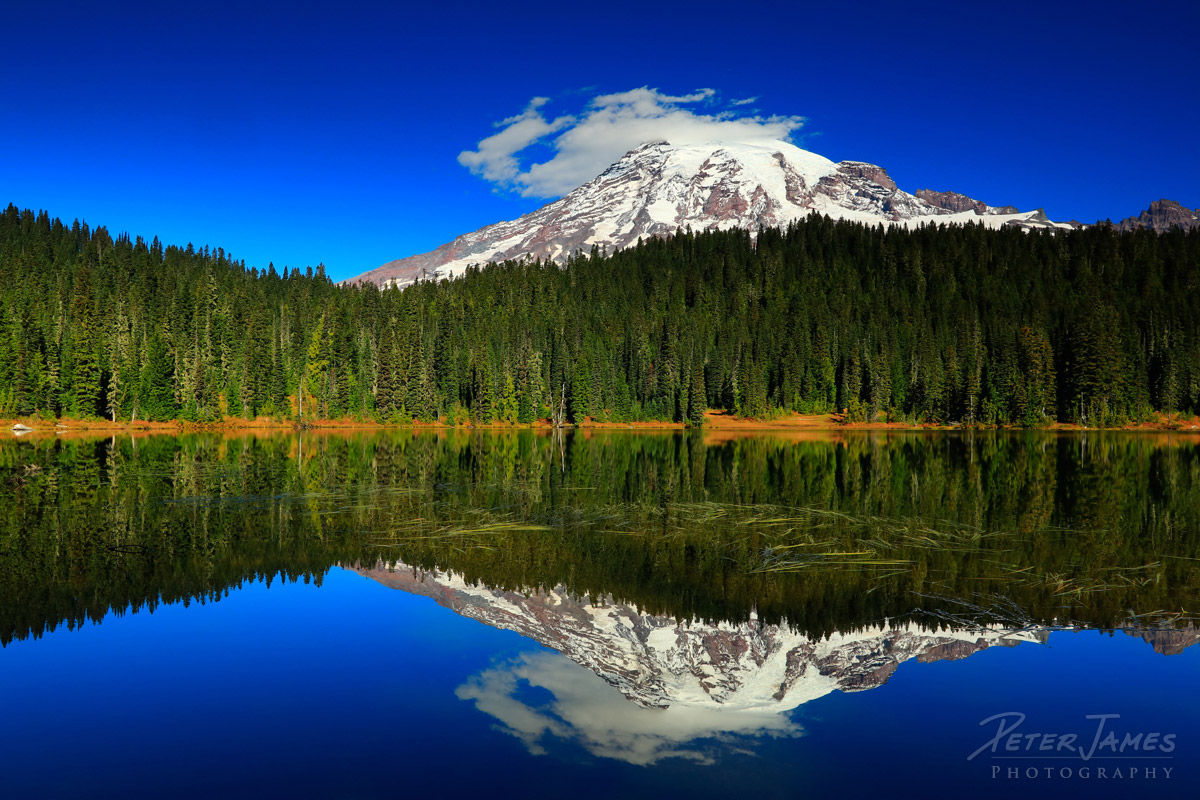 Mount Rainier Photography Prints for Sale