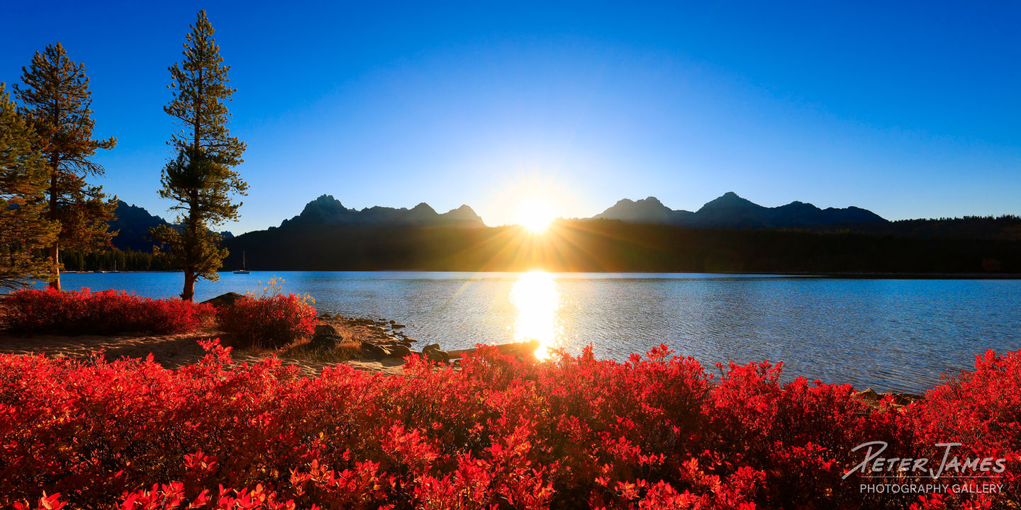 Red huckleberry shrubs glowing red at sunset along Redfish Lake with Sawtooth Mountains silhouetted in Idaho.