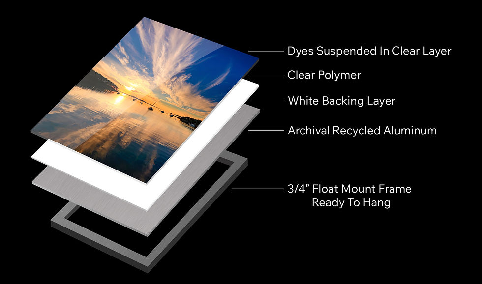 Anatomy of Metal Print