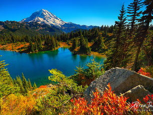 Capturing the Essence of Nature: The Beauty of Fine Art Nature Photography Prints