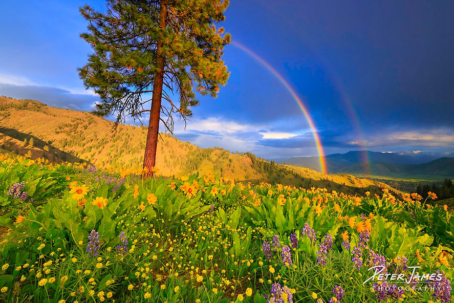 Double Rainbow Near Leavenworth