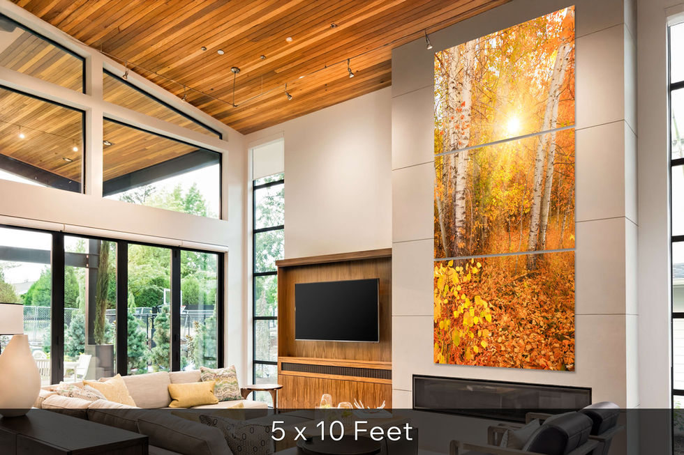 Three-panel cropped view of the woods in Idaho in living room
