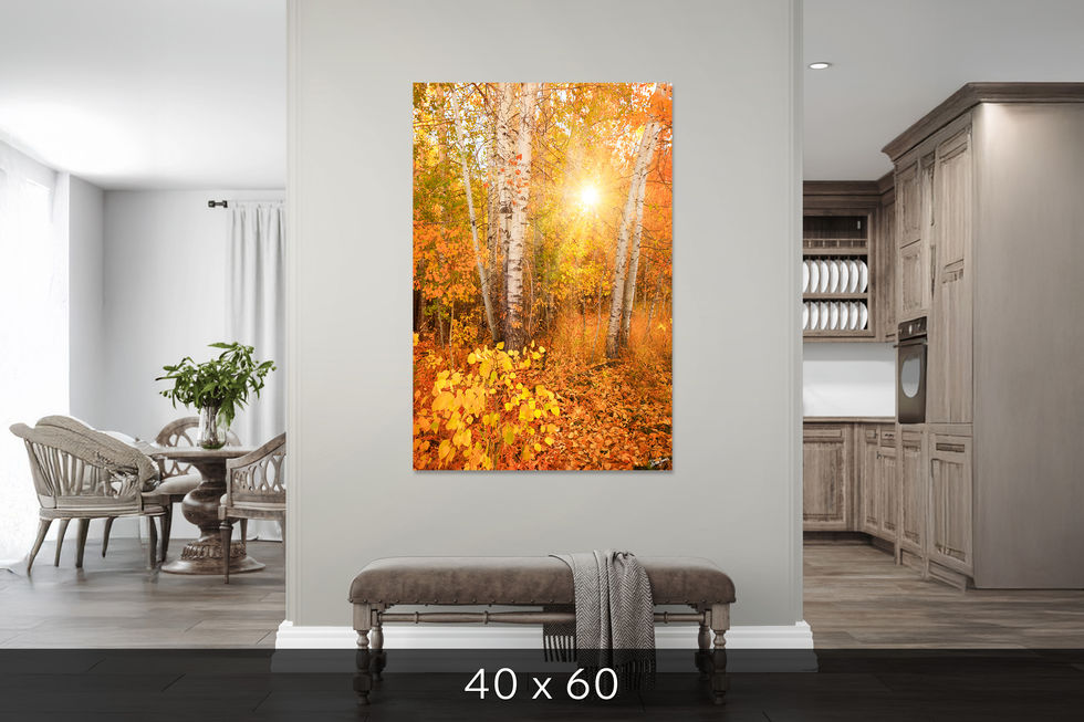 Single panel cropped view of the woods in Idaho above bench in hallway