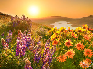 2026 Fine Art Nature Photography Collection | Expanding Beyond Washington into Oregon and Idaho