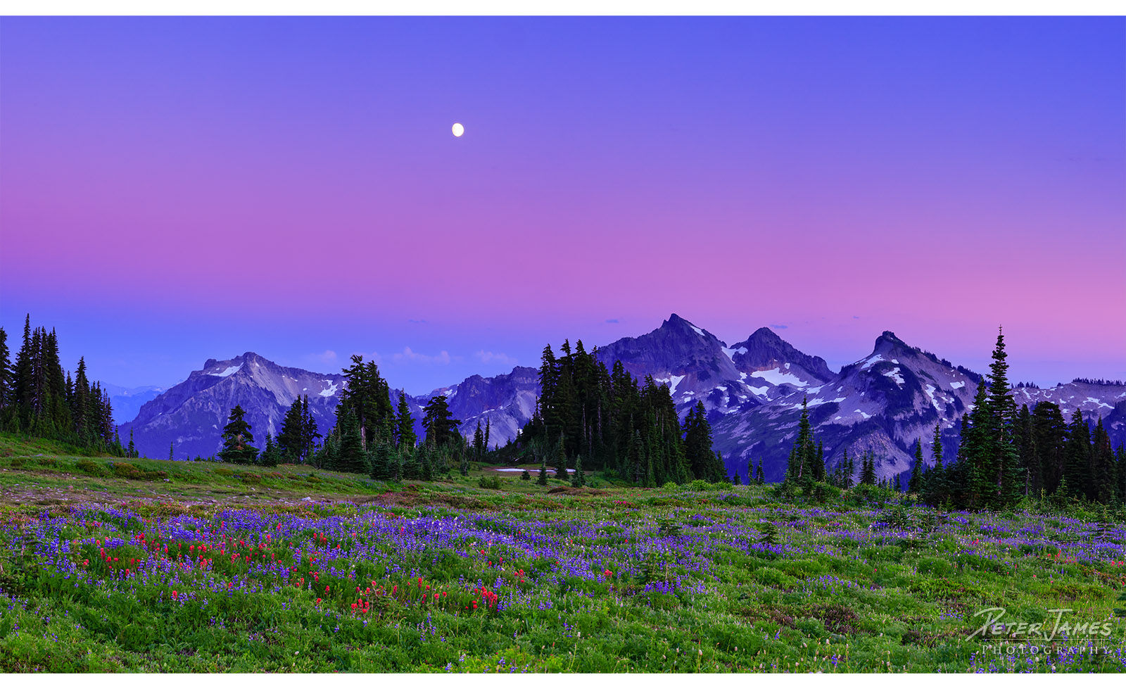 Violet Skies Over Vast Tatoosh Range