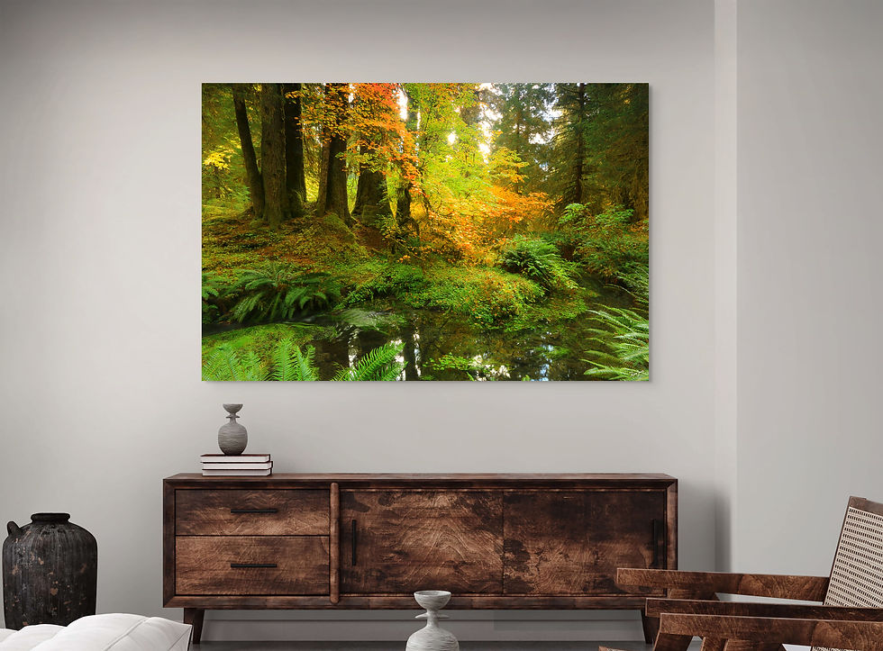 Hoh Rainforest Olympic Peninsula landscape print installed above cabinet