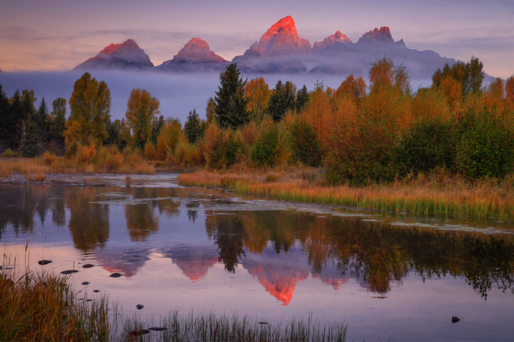 Majestic PNW forest and mountain landscape
