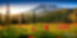 Summer On Mount Rainier's Skyline Trail.jpg