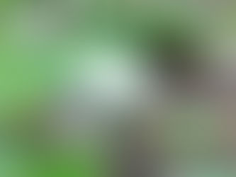 Открытие АНО РЦ "Зимнее Алёшкино"