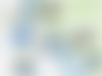 Поддержите наш проект "Эко-тур: к истоку Низямки"