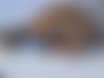 В Зимнем Алёшкино побывали школьники