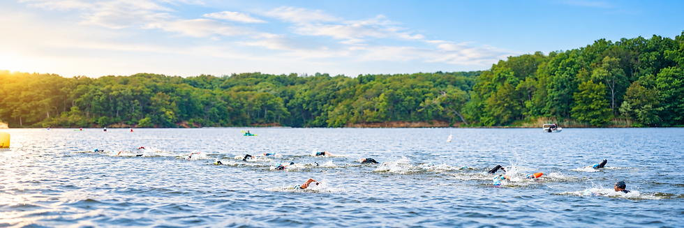 Morning Lake Swim Race.png