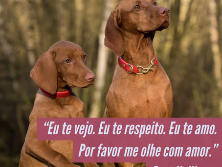 Bert Hellinger sobre Constelações Familiares