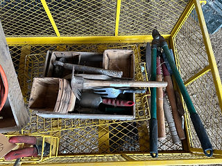 IMG_3217.jpeg
