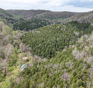 41-print-416 Hix Hollow Rd_203_TNPC.jpg