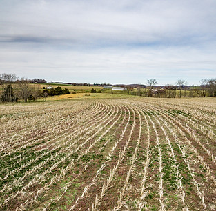 04_202_Lands_Smith_Monroe019_TNPC_HDR_mls.jpg