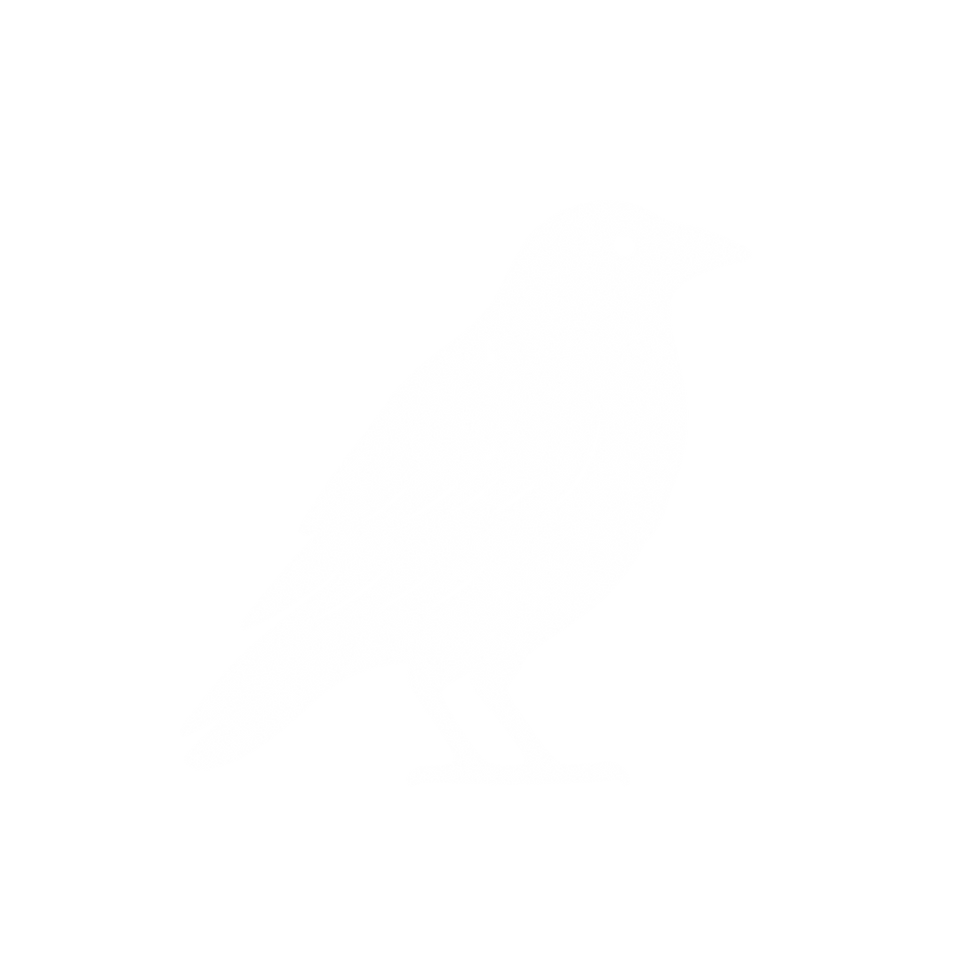 The Wild Promise_ICON_edited.png