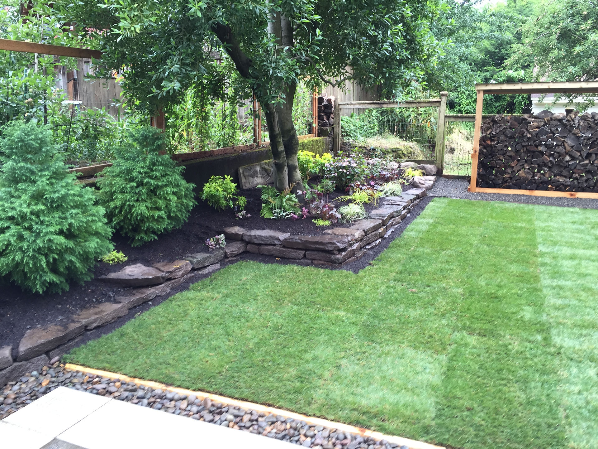 Back Yard