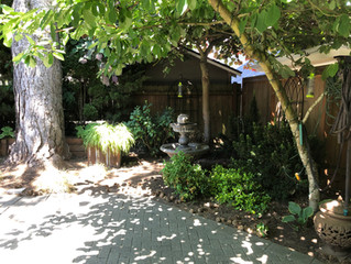 The Alameda