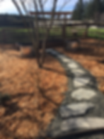 Walk to Grape Arbor and cedar raised bed.