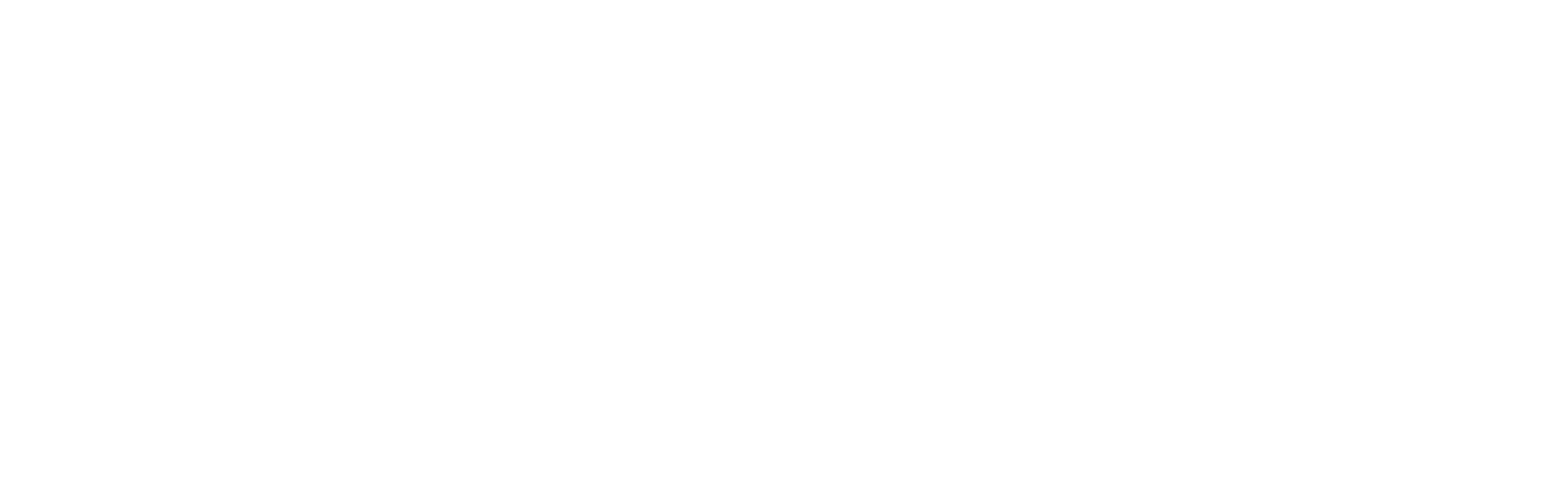 ODESSA.CO-LLC-v2_white_high-res.gif