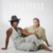 RAREBYRD$ - Pa$$-A-Fi$t