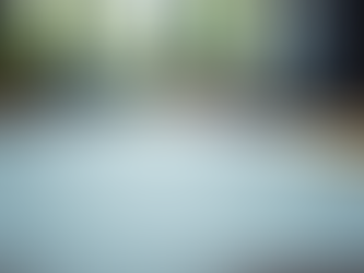 Переводы в Витебске: переводчик Allalingva +375(29)392-00-64 +375(33)681-93-50