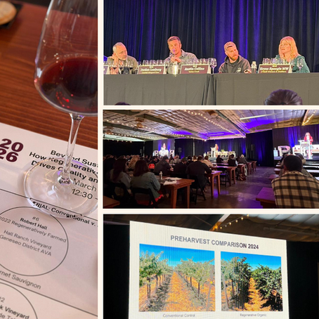 O que a queda no consumo de vinho nos Estados Unidos nos ensina