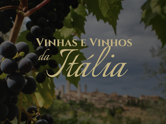 Imersão na cultura e nos vinhedos italianos