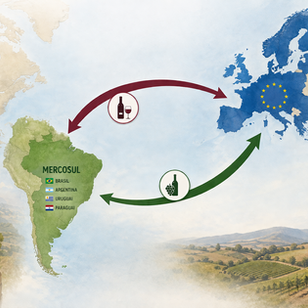 Acordo ME-UE entra em vigor e traz impactos para vitivinicultura e sommellerie brasileira